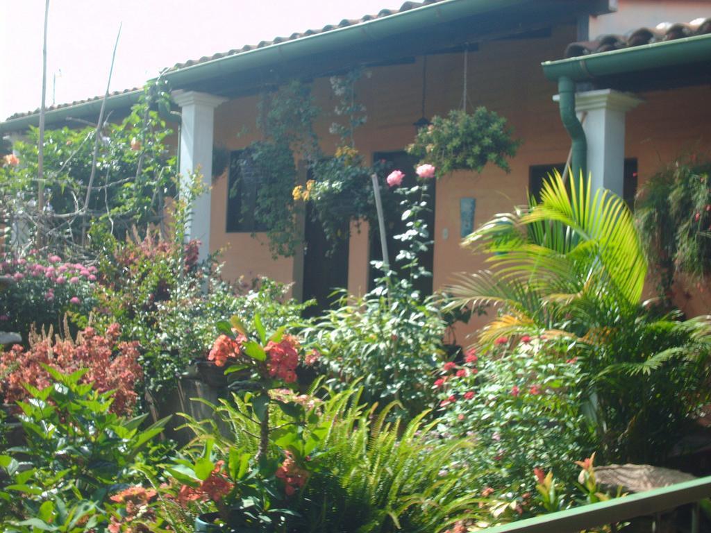 Hotel Villa Santo Domingo Concepción de Ataco Dış mekan fotoğraf